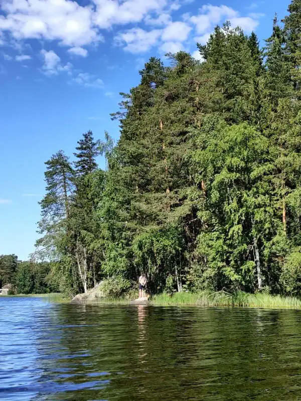 Mökki en rondins ~65 m² (1973) + sauna à bois, 4 350 m² et 90 m de rive privée sur l’Isojärvi, au bout de la route — Jäminkipohja / Ruovesi — 2