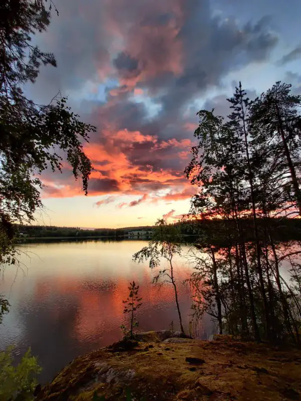 Mökki en rondins ~65 m² (1973) + sauna à bois, 4 350 m² et 90 m de rive privée sur l’Isojärvi, au bout de la route — Jäminkipohja / Ruovesi — 6