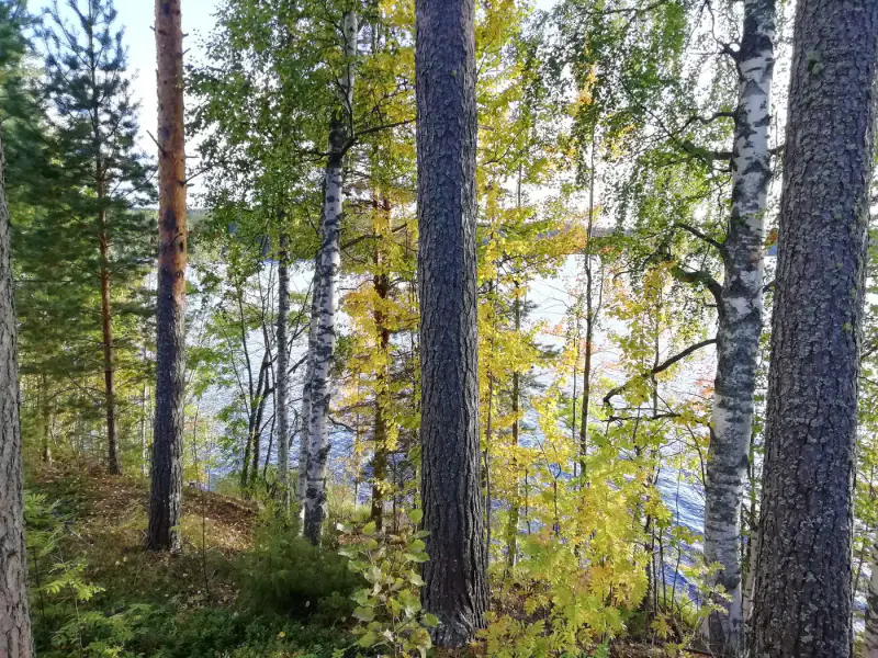 Terrain constructible 2 045 m² rive privée Saarijärvi (716 k-m²) — centre Saarijärvi — 6