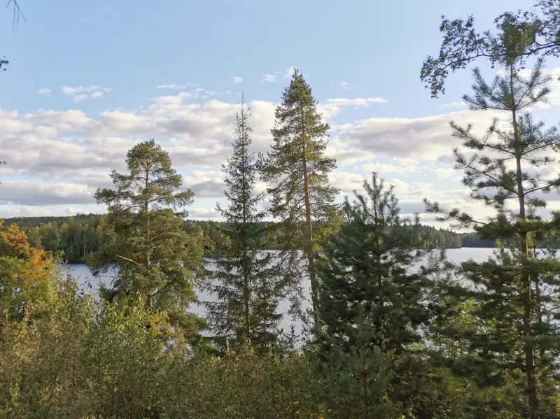 Terrain constructible 2 045 m² rive privée Saarijärvi (716 k-m²) — centre Saarijärvi — 2