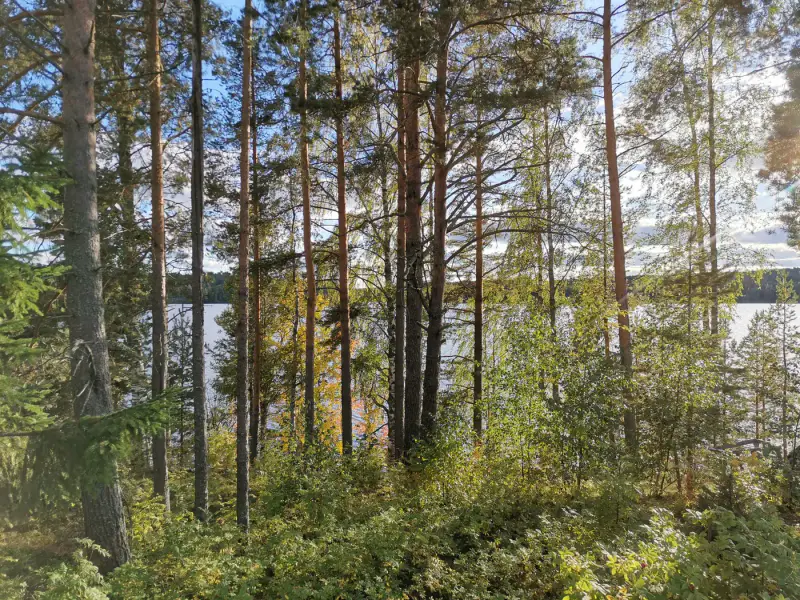 Terrain constructible 2 045 m² rive privée Saarijärvi (716 k-m²) — centre Saarijärvi — 4