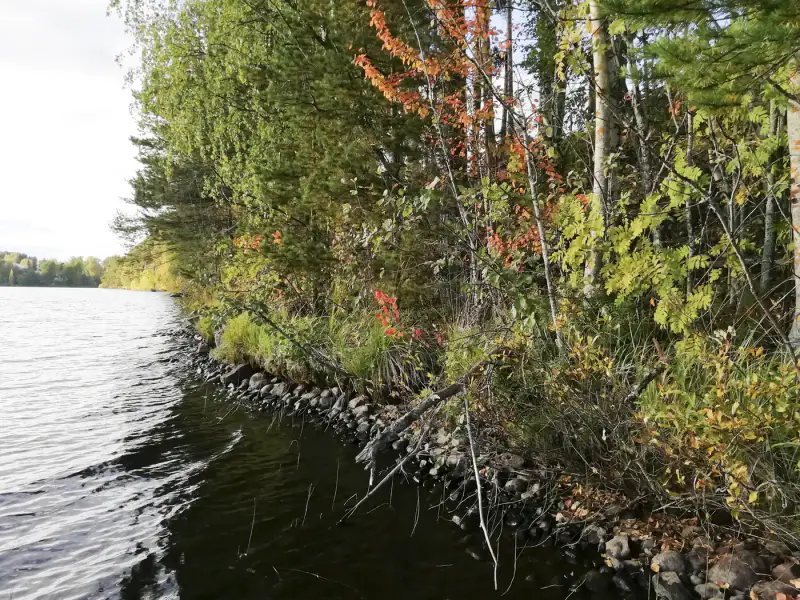 Terrain constructible 2 045 m² rive privée Saarijärvi (716 k-m²) — centre Saarijärvi — 7