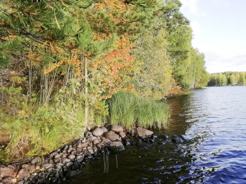 Terrain constructible 2 045 m² rive privée Saarijärvi (716 k-m²) — centre Saarijärvi — 1