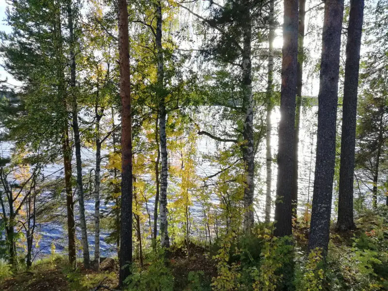 Terrain constructible 2 045 m² rive privée Saarijärvi (716 k-m²) — centre Saarijärvi — 5