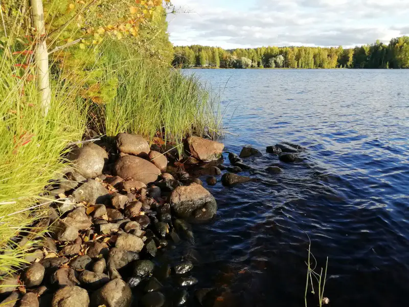 Terrain constructible 2 045 m² rive privée Saarijärvi (716 k-m²) — centre Saarijärvi — 8