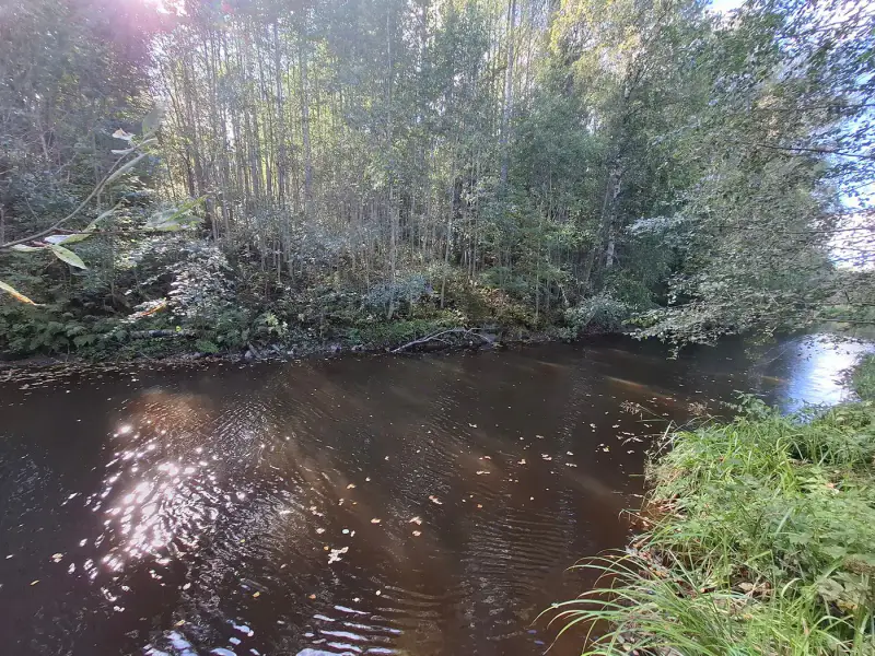 Terrain forestier ~1,08 ha + place RA Saikkalanjoki, bâtiments à démolir — Häijää / Sastamala — 11