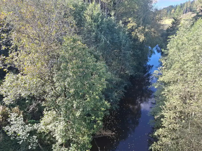 Terrain forestier ~1,08 ha + place RA Saikkalanjoki, bâtiments à démolir — Häijää / Sastamala — 3