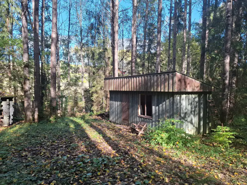 Terrain forestier ~1,08 ha + place RA Saikkalanjoki, bâtiments à démolir — Häijää / Sastamala — 12