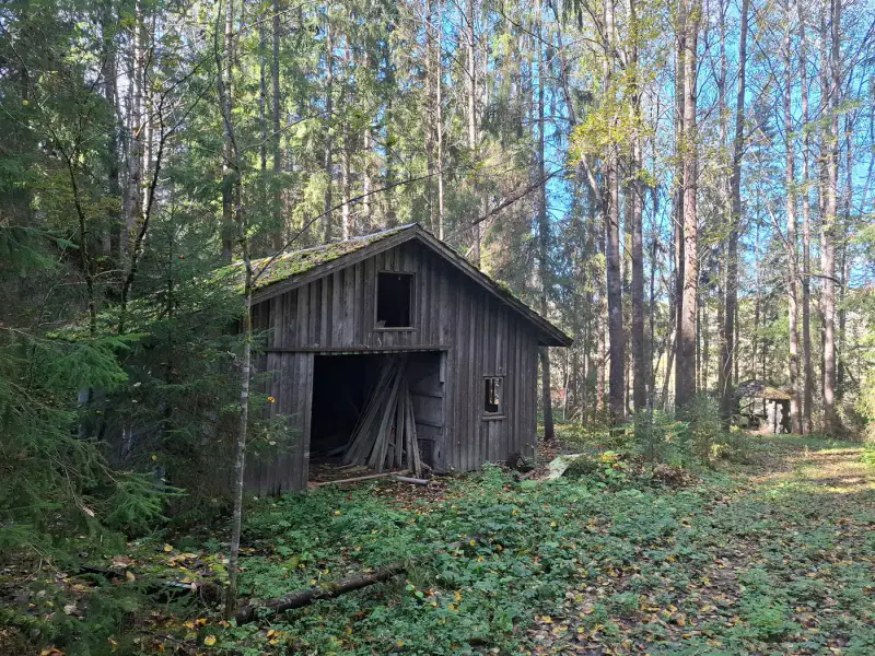 Terrain forestier ~1,08 ha + place RA Saikkalanjoki, bâtiments à démolir — Häijää / Sastamala — 13