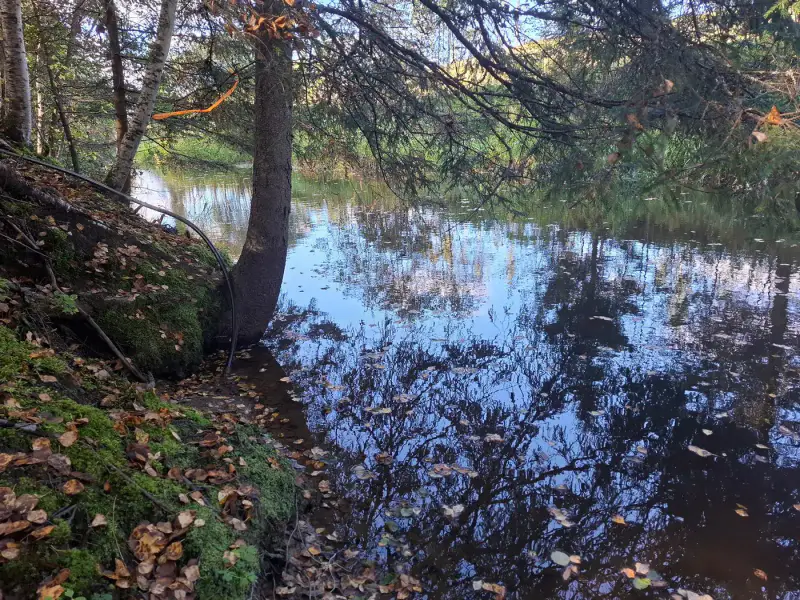 Terrain forestier ~1,08 ha + place RA Saikkalanjoki, bâtiments à démolir — Häijää / Sastamala — 9