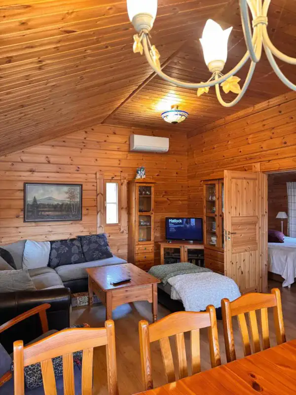 Villa en rondins habitable l’hiver (2006, 46 m²) + sauna et aitta, 82 m de rive sable, 6 670 m² — Savonranta / Savonlinna — 8