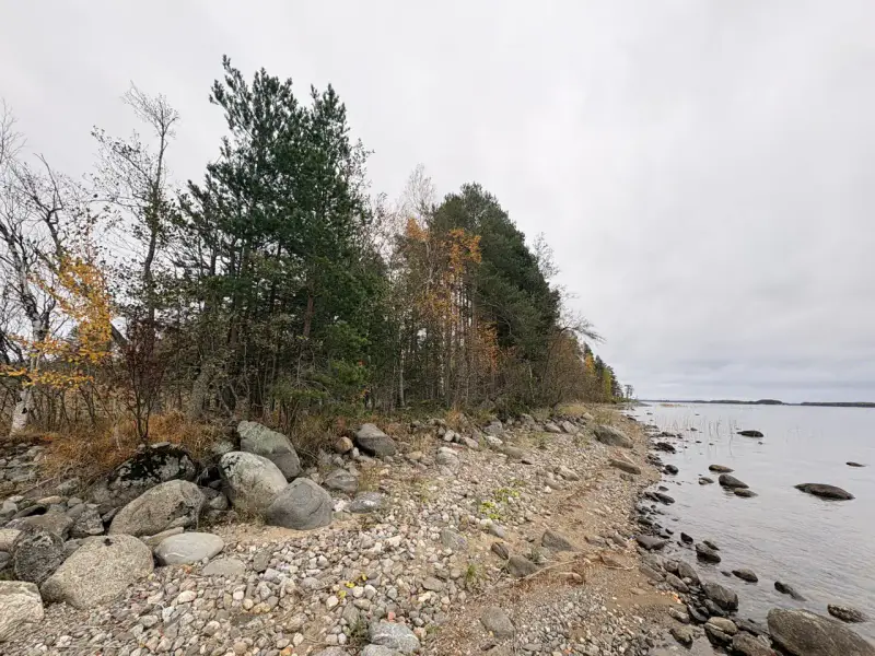 Hirsimökki ~41–51 m² sans électricité sur pointe de presqu’île, 3 860 m² et rive privée Puruvesi — Kerimäki / Savonlinna — 8