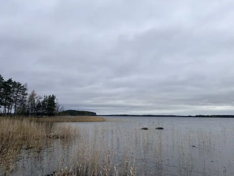 Hirsimökki ~41–51 m² sans électricité sur pointe de presqu’île, 3 860 m² et rive privée Puruvesi — Kerimäki / Savonlinna — 13