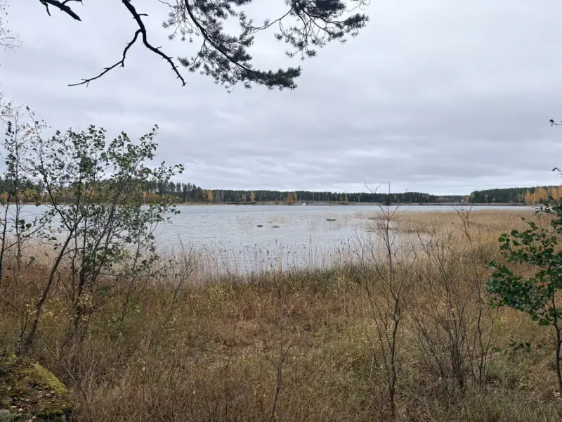 Hirsimökki ~41–51 m² sans électricité sur pointe de presqu’île, 3 860 m² et rive privée Puruvesi — Kerimäki / Savonlinna — 11