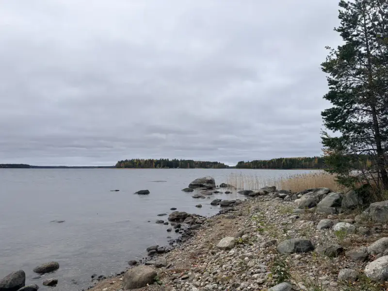 Hirsimökki ~41–51 m² sans électricité sur pointe de presqu’île, 3 860 m² et rive privée Puruvesi — Kerimäki / Savonlinna — 4