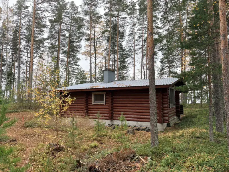 Hirsimökki ~41–51 m² sans électricité sur pointe de presqu’île, 3 860 m² et rive privée Puruvesi — Kerimäki / Savonlinna — 6