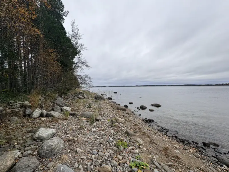 Hirsimökki ~41–51 m² sans électricité sur pointe de presqu’île, 3 860 m² et rive privée Puruvesi — Kerimäki / Savonlinna — 9