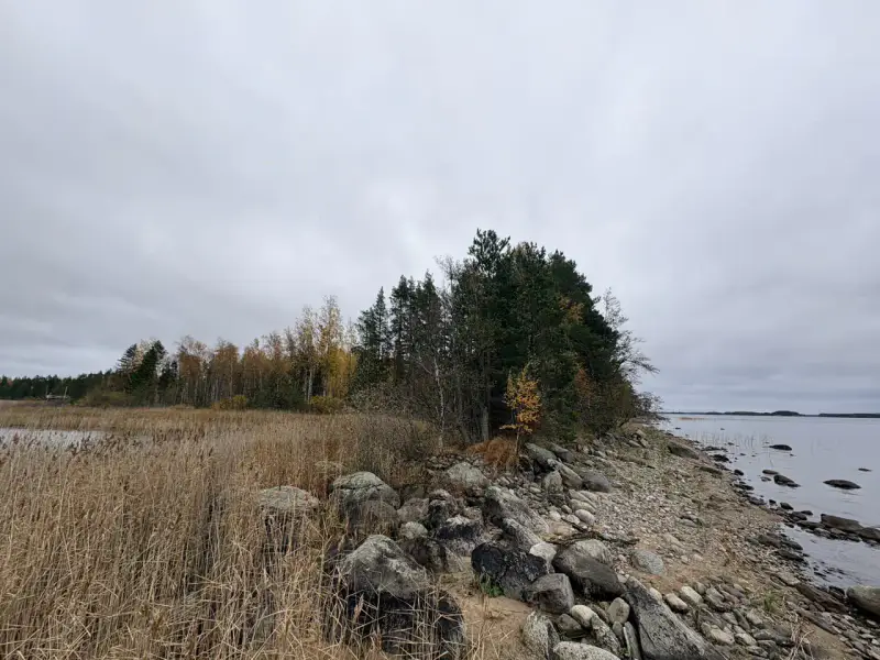 Hirsimökki ~41–51 m² sans électricité sur pointe de presqu’île, 3 860 m² et rive privée Puruvesi — Kerimäki / Savonlinna — 1