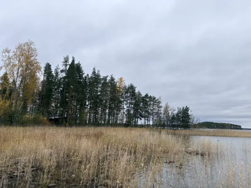 Hirsimökki ~41–51 m² sans électricité sur pointe de presqu’île, 3 860 m² et rive privée Puruvesi — Kerimäki / Savonlinna — 14