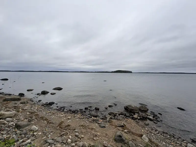 Hirsimökki ~41–51 m² sans électricité sur pointe de presqu’île, 3 860 m² et rive privée Puruvesi — Kerimäki / Savonlinna — 3