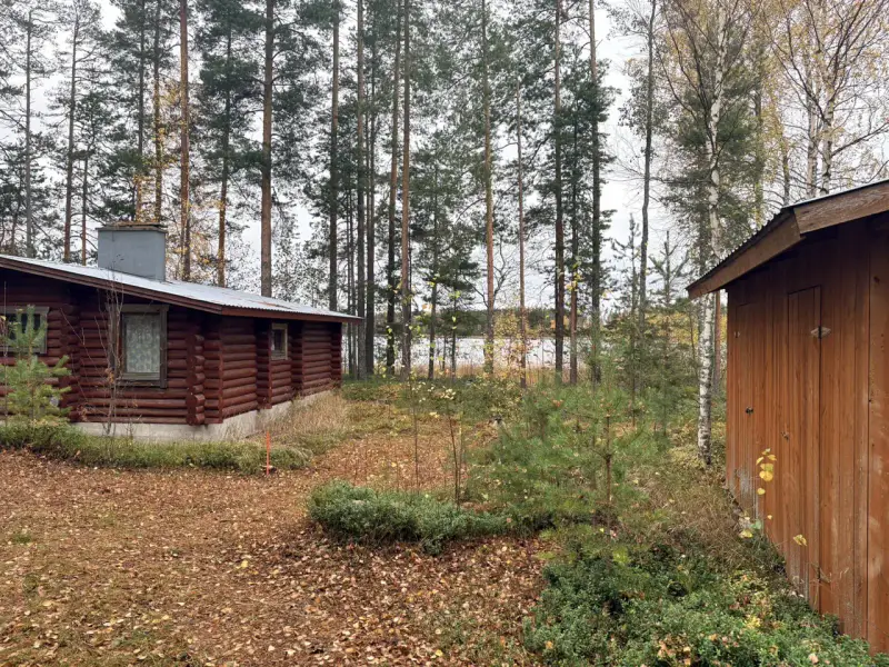 Hirsimökki ~41–51 m² sans électricité sur pointe de presqu’île, 3 860 m² et rive privée Puruvesi — Kerimäki / Savonlinna — 10