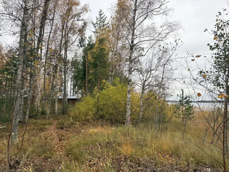 Hirsimökki ~41–51 m² sans électricité sur pointe de presqu’île, 3 860 m² et rive privée Puruvesi — Kerimäki / Savonlinna — 12