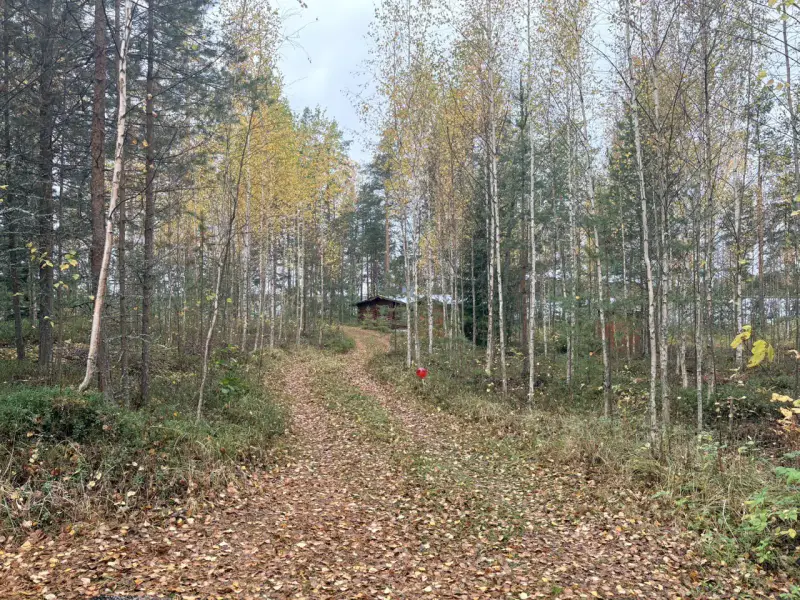 Hirsimökki ~41–51 m² sans électricité sur pointe de presqu’île, 3 860 m² et rive privée Puruvesi — Kerimäki / Savonlinna — 16