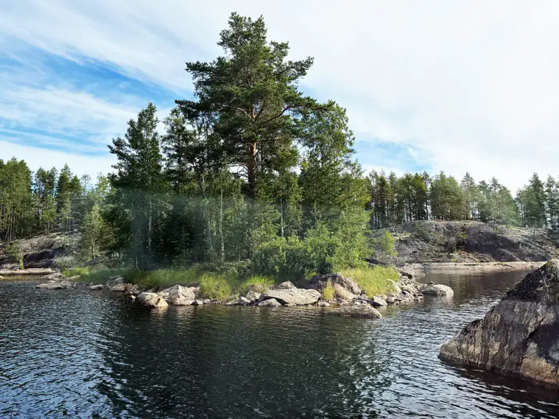 Île Sormusaari 2,37 ha, bâtiment 2001 + savusauna, Saimaa / Pihlajavesi — Savonlinna — 8