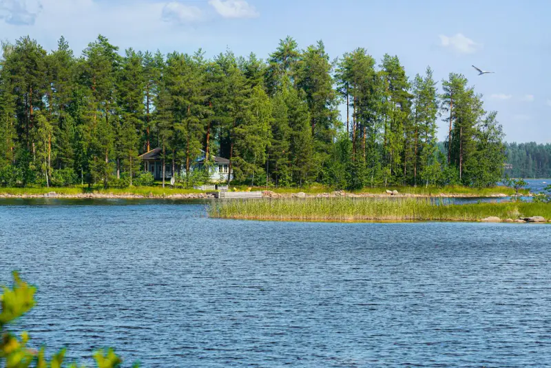 Villa Kontio rondins ~71 m² (2003) + sauna, 5 950 m², Saimaa — Savonranta / Savonlinna — 1
