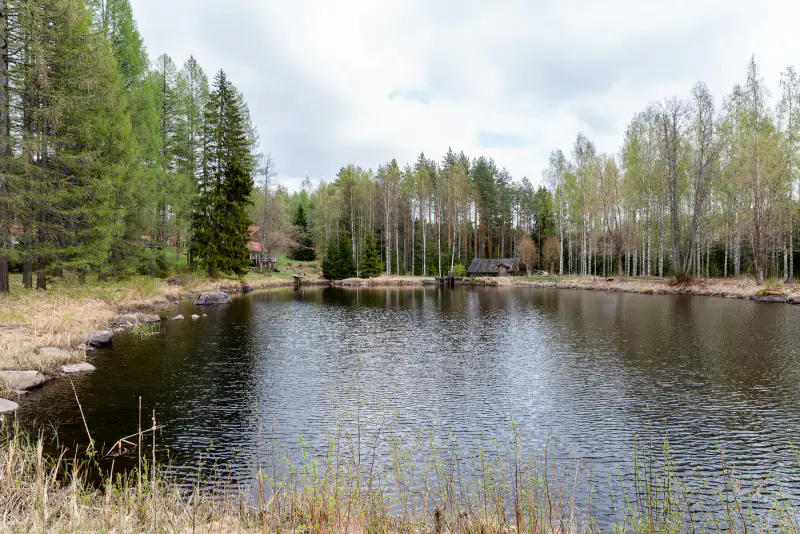 Ancienne maison du meunier 1904 ~104 m², rive Myllylampi, 1,4 ha — Makkola / Savonlinna — 11