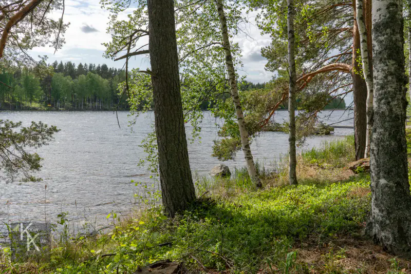 Terrain constructible de 3 732 m² (335 m² à bâtir) avec plage de sable privée sur le Pihlajavesi — Punkaharju / Savonlinna — 7
