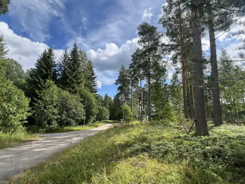 Terrain constructible de 3 732 m² (335 m² à bâtir) avec plage de sable privée sur le Pihlajavesi — Punkaharju / Savonlinna — 11