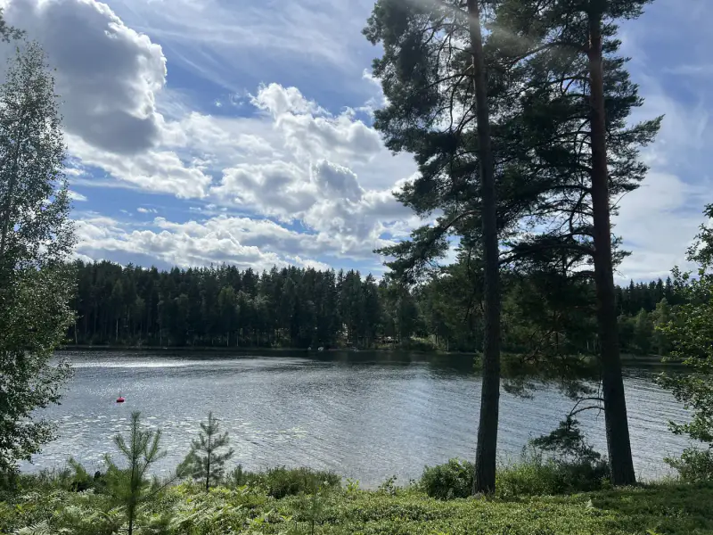 Terrain constructible de 3 732 m² (335 m² à bâtir) avec plage de sable privée sur le Pihlajavesi — Punkaharju / Savonlinna — 4