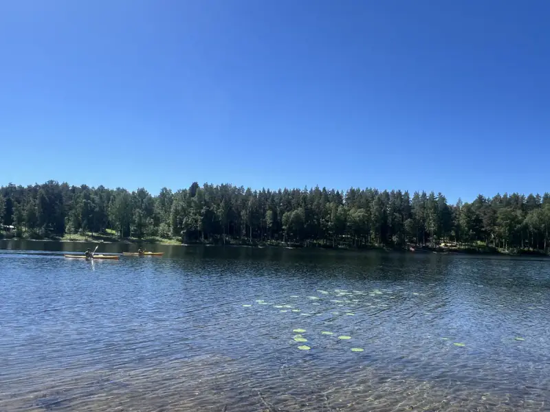 Terrain constructible de 3 732 m² (335 m² à bâtir) avec plage de sable privée sur le Pihlajavesi — Punkaharju / Savonlinna — 9