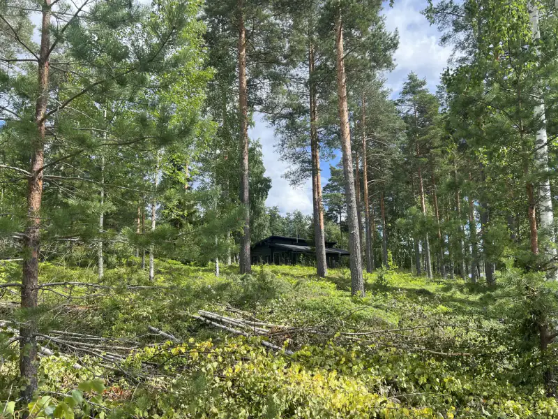 Terrain constructible de 3 732 m² (335 m² à bâtir) avec plage de sable privée sur le Pihlajavesi — Punkaharju / Savonlinna — 12