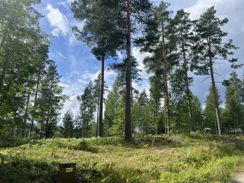 Terrain constructible de 3 732 m² (335 m² à bâtir) avec plage de sable privée sur le Pihlajavesi — Punkaharju / Savonlinna — 5
