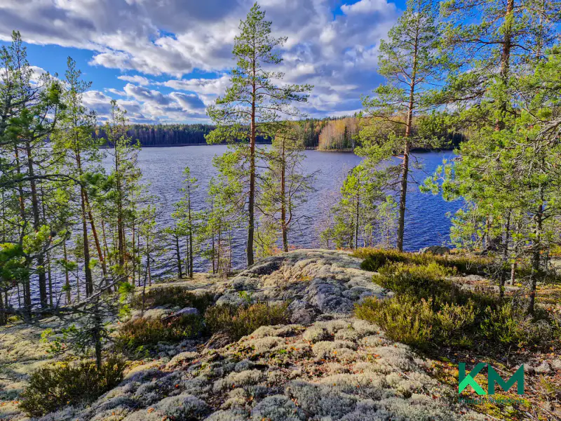 Terrain constructible ~1,01 ha et ~130 m de rive Pyyvesi — Savonranta / Savonlinna — 3