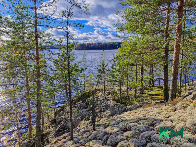 Terrain constructible ~1,01 ha et ~130 m de rive Pyyvesi — Savonranta / Savonlinna — 6