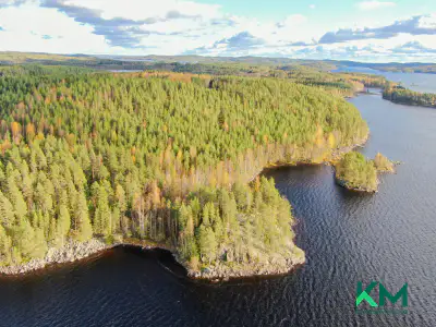 Terrain constructible ~1,01 ha et ~130 m de rive Pyyvesi — Savonranta / Savonlinna — 1