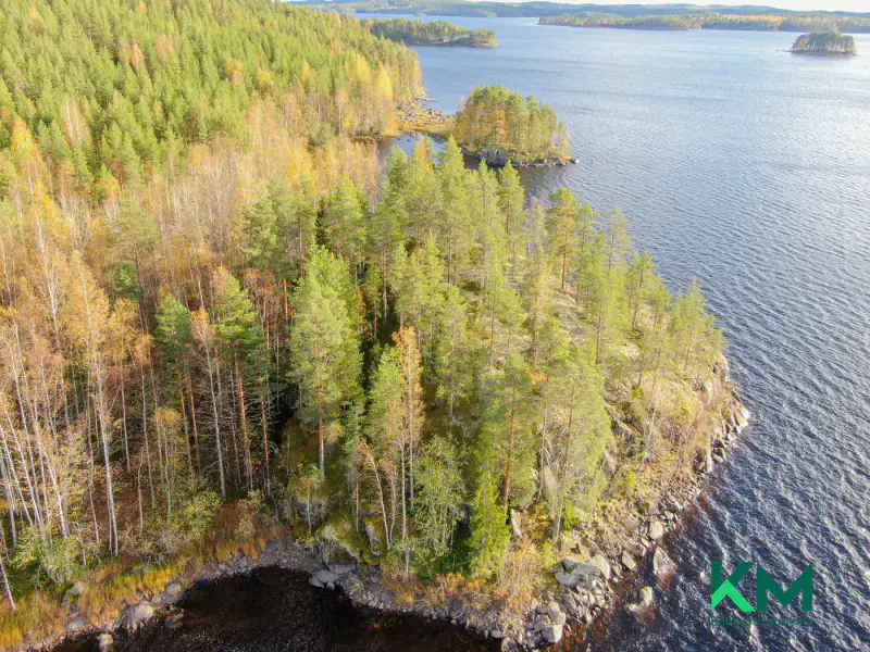 Terrain constructible ~1,01 ha et ~130 m de rive Pyyvesi — Savonranta / Savonlinna — 10