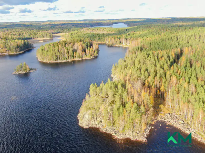Terrain constructible ~1,01 ha et ~130 m de rive Pyyvesi — Savonranta / Savonlinna — 2