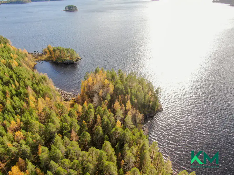 Terrain constructible ~1,01 ha et ~130 m de rive Pyyvesi — Savonranta / Savonlinna — 8