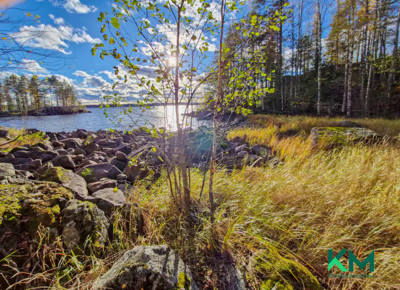 Terrain constructible ~1,01 ha et ~130 m de rive Pyyvesi — Savonranta / Savonlinna — 4