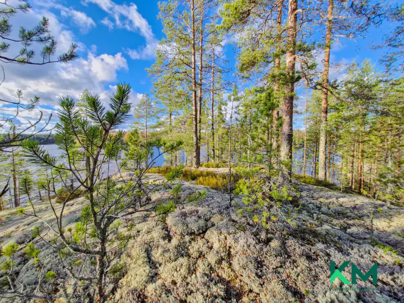 Terrain constructible ~1,01 ha et ~130 m de rive Pyyvesi — Savonranta / Savonlinna — 11