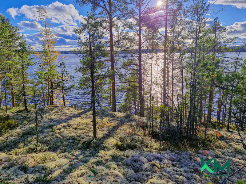Terrain constructible ~1,01 ha et ~130 m de rive Pyyvesi — Savonranta / Savonlinna — 15