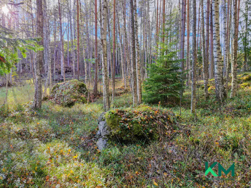 Terrain constructible ~1,01 ha et ~130 m de rive Pyyvesi — Savonranta / Savonlinna — 16