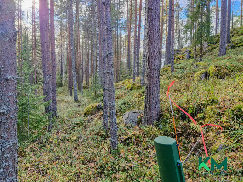 Terrain constructible ~1,01 ha et ~130 m de rive Pyyvesi — Savonranta / Savonlinna — 12
