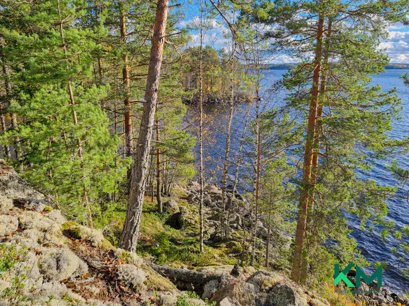 Terrain constructible ~1,01 ha et ~130 m de rive Pyyvesi — Savonranta / Savonlinna — 7