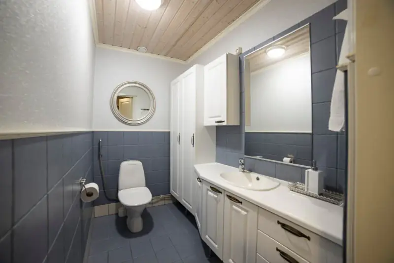 Maison ~250 m² (2010) + sauna, 1,88 ha, Lavasjärvi — Sammi / Siikainen — 12