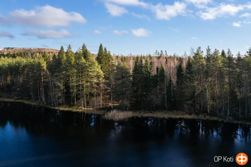 Chalet en rondins ronds (81 m²) à rénover, 4 620 m² et ~200 m de rive privée sur le Pieni-Sulkava — Siilinjärvi — 2